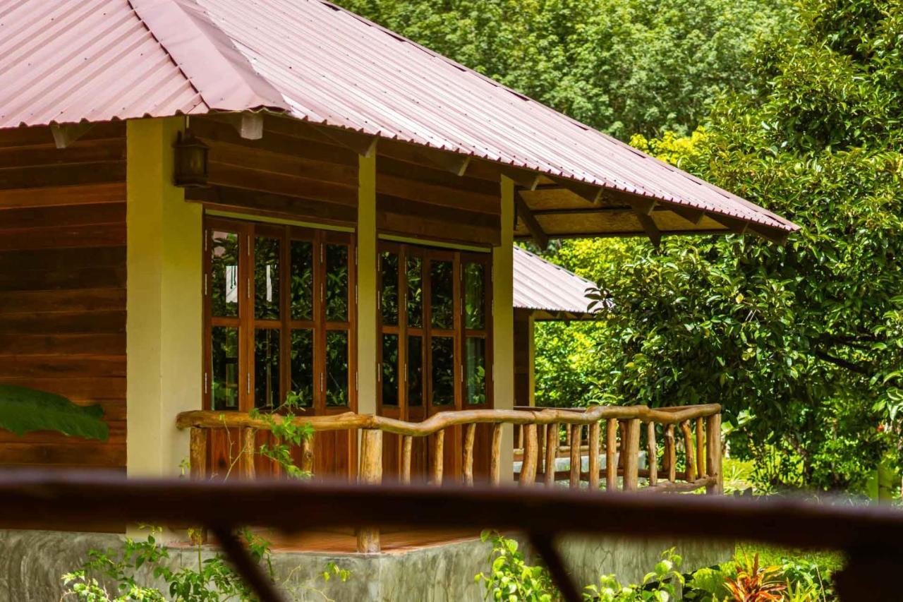 Monkey Mansion - Jungalows & Tours Khao Sok National Park Exterior photo